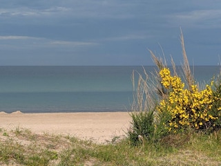 Ferienhaus Marielyst  27