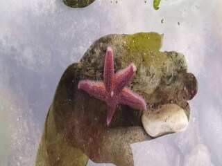 Vakantiehuis Humble Buitenaudio-opname 17