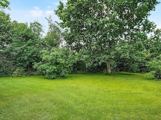 Ferienhaus Truust Außenaufnahme 3