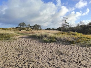 Ferienhaus Vejby Strand  11