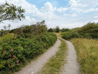 Vakantiehuis Trend Buitenaudio-opname 4