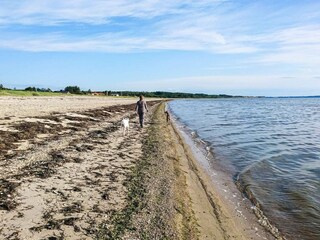 Vakantiehuis Trend  21