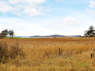 Ferienhaus Falsled  28