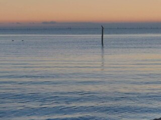 Casa per le vacanze Falsled Registrazione all'aperto 9