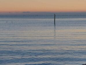 Ferienhaus Kustenserenitat in Faldsled-By Traum