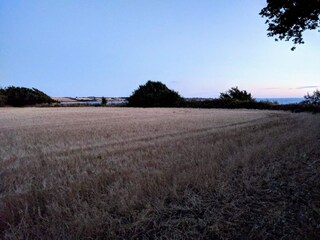 Casa per le vacanze Falsled  32