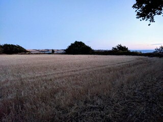 Ferienhaus Falsled  30