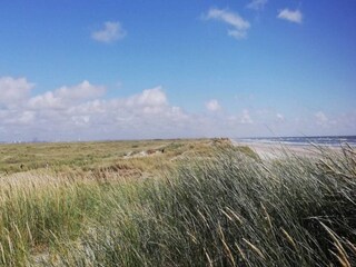Vakantiehuis Esbjerg  11