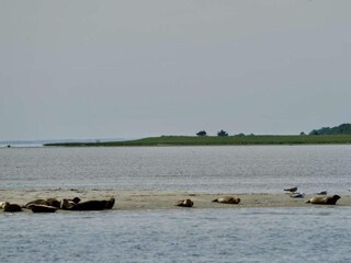 Holiday house Als  12