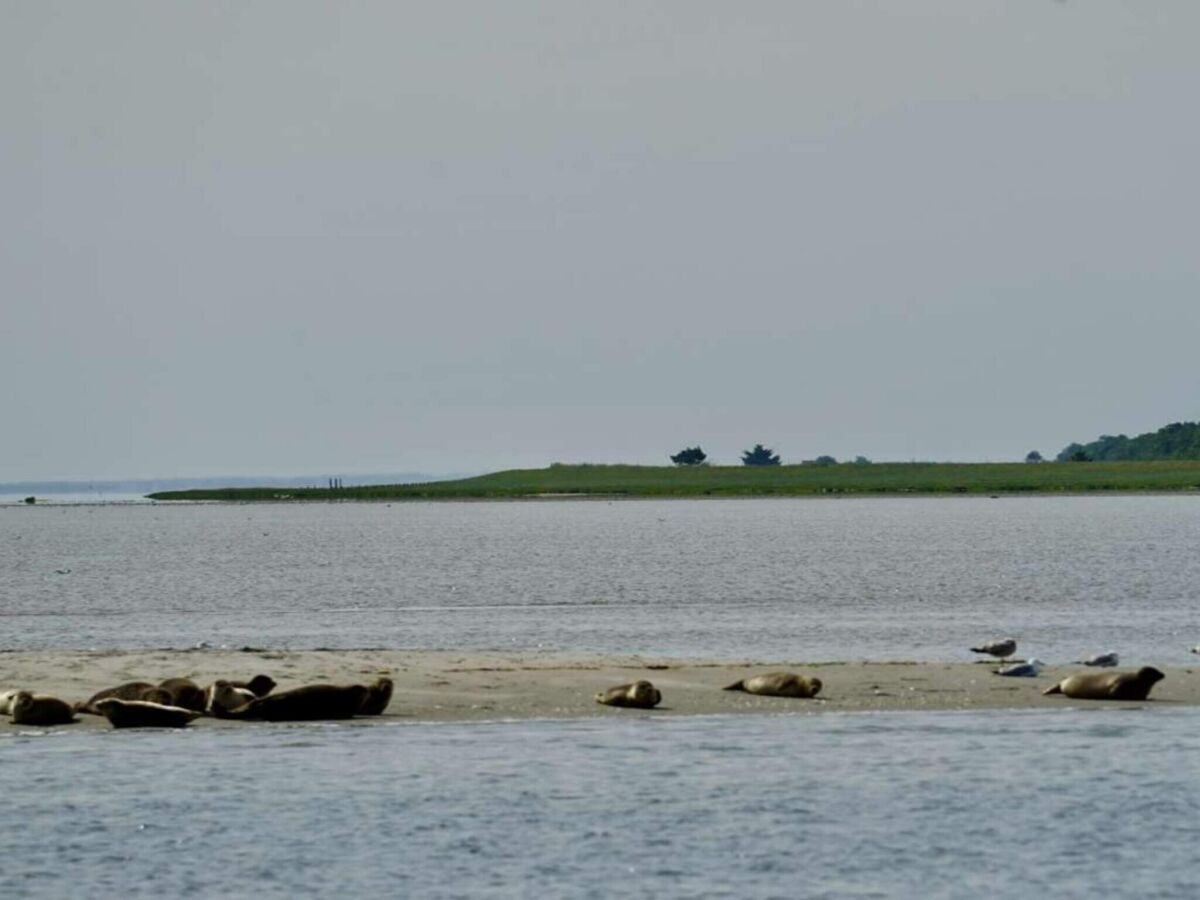 Casa per le vacanze Als  6