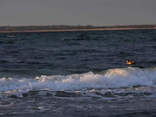 Casa per le vacanze Veddinge  43