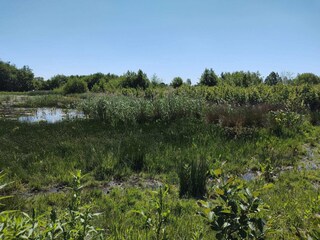 Maison de vacances Præstø  11