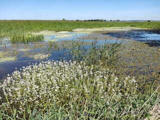 Maison de vacances Præstø  36