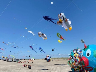 Ferienhaus Fanø Bad  26