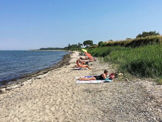 Ferienhaus Købingsmark  15
