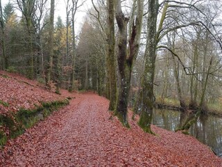 Vakantiehuis Voerladegård  12