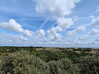 Vakantiehuis Toftum  37