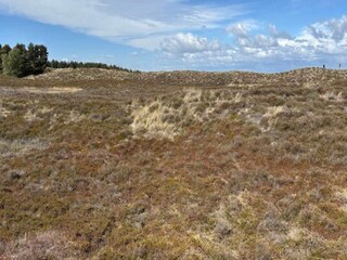 Ferienhaus Toftum  19