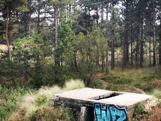 Maison de vacances Toftum  12