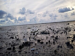 Maison de vacances Toftum  41