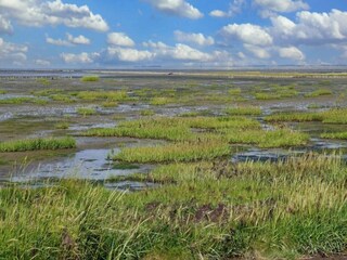 Vakantiehuis Toftum  14