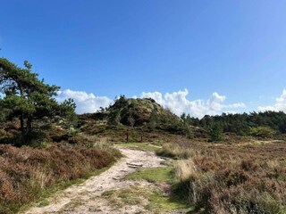 Ferienhaus Toftum  32