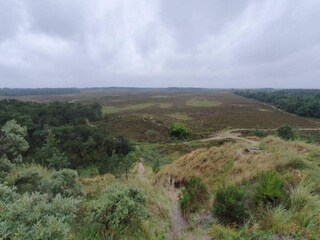 Vakantiehuis Toftum  19