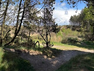 Casa per le vacanze Toftum  16