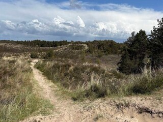 Casa de vacaciones Toftum  17