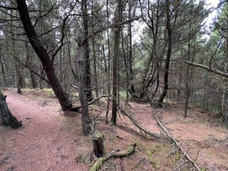 Ferienhaus Toftum  20