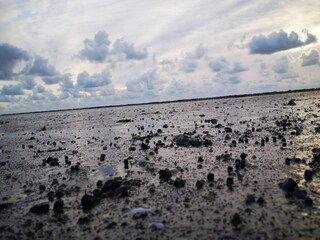 Maison de vacances Toftum  30