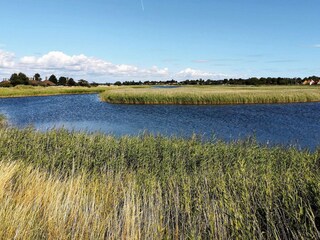 Vakantiehuis Enø  39