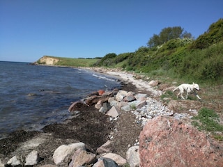 Vakantiehuis Enø  33