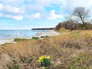 Vakantiehuis Snogebæk Buitenaudio-opname 1