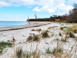 Ferienhaus Snogebæk Außenaufnahme 4