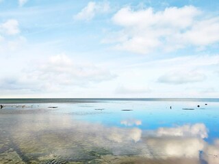 Ferienhaus Snogebæk Außenaufnahme 2