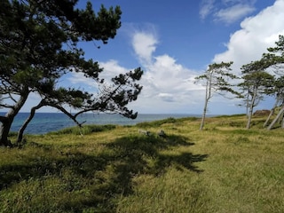 Ferienhaus Gilleleje  47