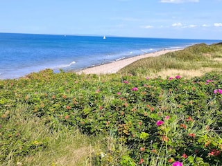 Vakantiehuis Gilleleje  16