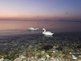 Casa de vacaciones Fårevejle  37