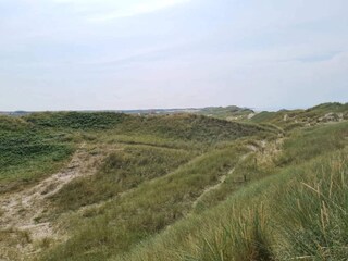 Appartement Skagen  7