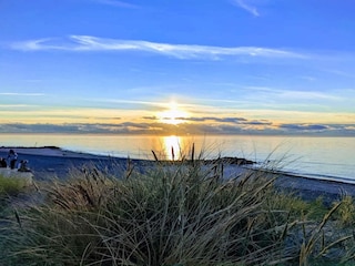 Appartement Skagen  14
