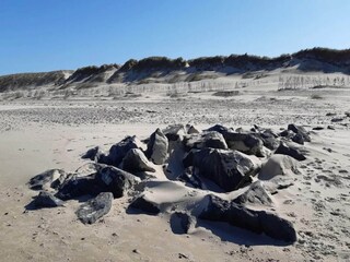 Appartement Skagen  19