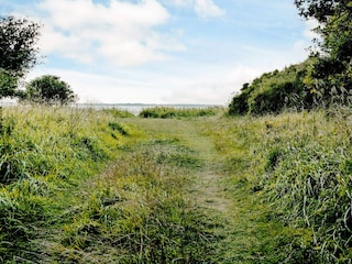 Holiday house Jægerspris Outdoor Recording 3