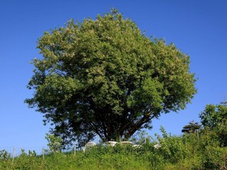 Maison de vacances Aarhus  34