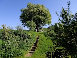 Maison de vacances Aarhus  13