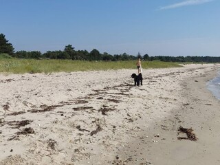 Ferienhaus Aarhus  21