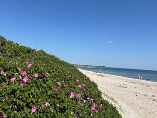 Casa per le vacanze Sydals  33