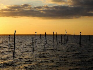 Ferienhaus Lohals  30