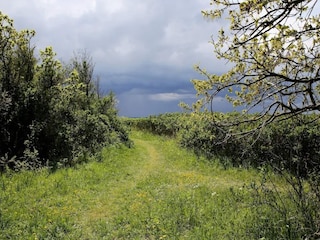 Ferienhaus Lohals  38