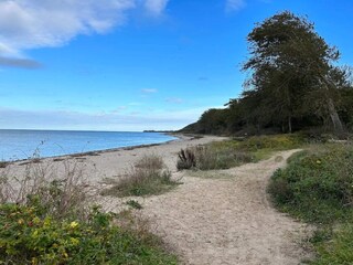 Ferienhaus Lohals  31